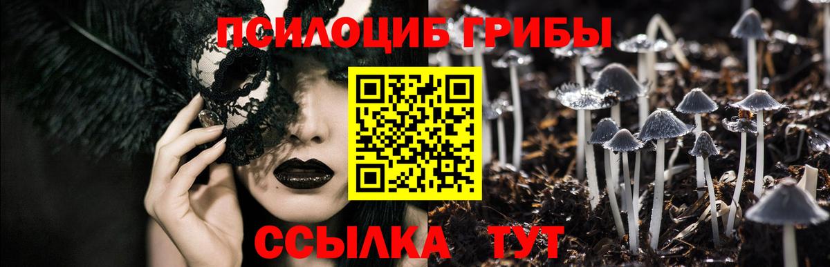 Галлюциногенные грибы Magic Shrooms  Вход с VPN  Сургут 